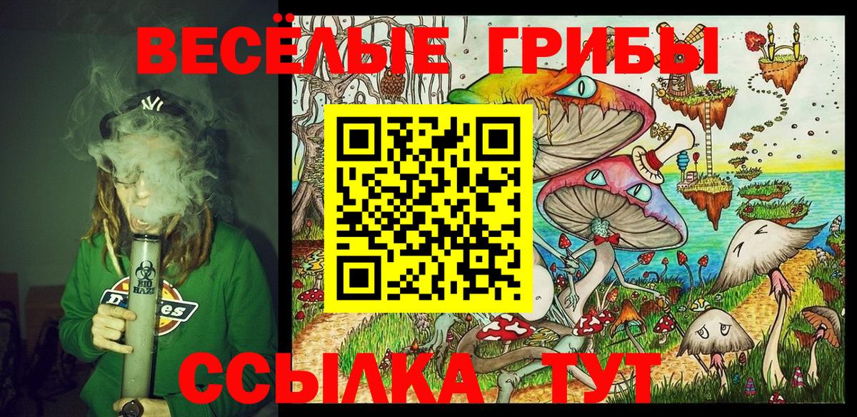 сколько стоит  Псилоцибиновые грибы прущие грибы  Псилоцибиновые грибы Psilocybine cubensis  Вход с VPN  Минеральные Воды 