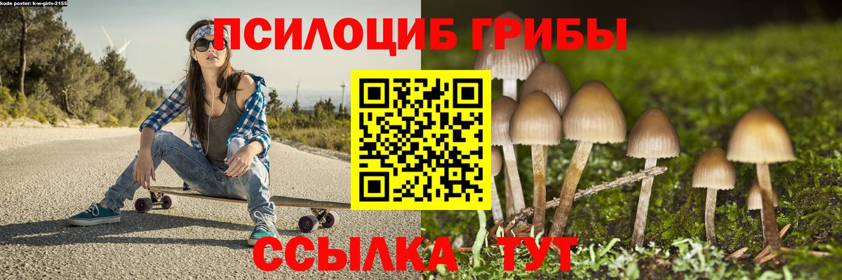 Галлюциногенные грибы прущие грибы Минеральные Воды